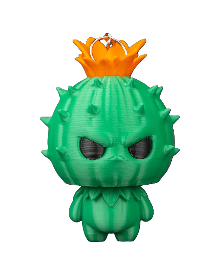 Cali, el Espíritu del Cactus